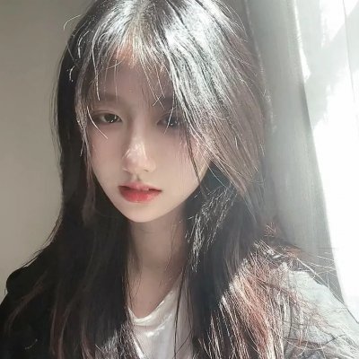 科搜研之女2022